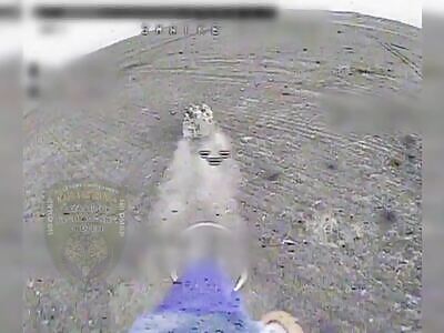 Drone put an entire group of Russische Schweine to sleep.