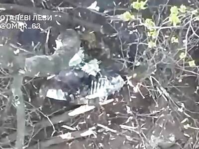 Plus 11 dead Russians.