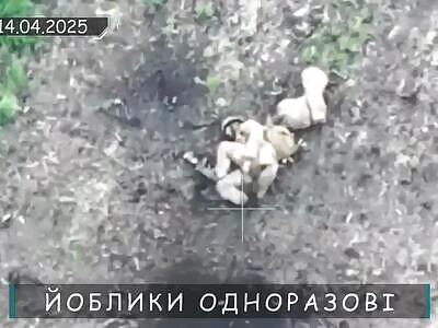 Madyar eliminates Russians (08.04.2025-14.04.2025 compilation).