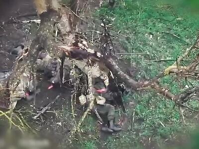 Destruction of Russian tourists at the border.