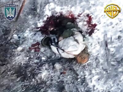 WORMBUSTERS in action!