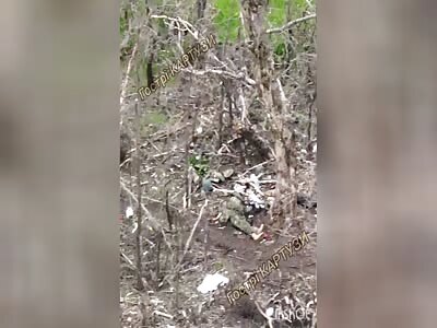 Dead Russian bodies everywhere