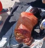 HORRIFIC: Woman Cut in Half!!!! 