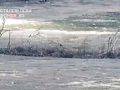 Cooking Russian piglets.