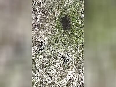 Russian soldier decides to de-nazify himself after drone drop