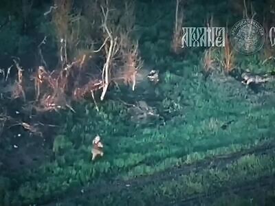 Delicious runner's booty