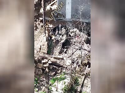 Counting dead Ziggers