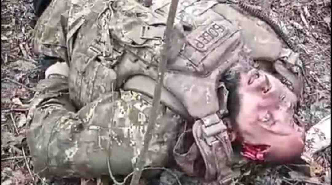RU POV: Ukrainian special forces dead literally on every meter -21