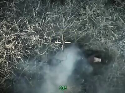 Derussification is proceeding according to plan.