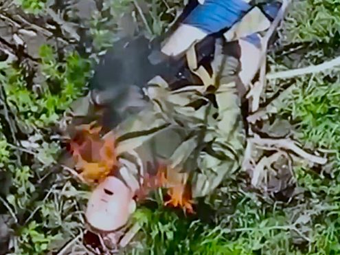 Bad Career Choice Makes Vlad Blow His Brains Out