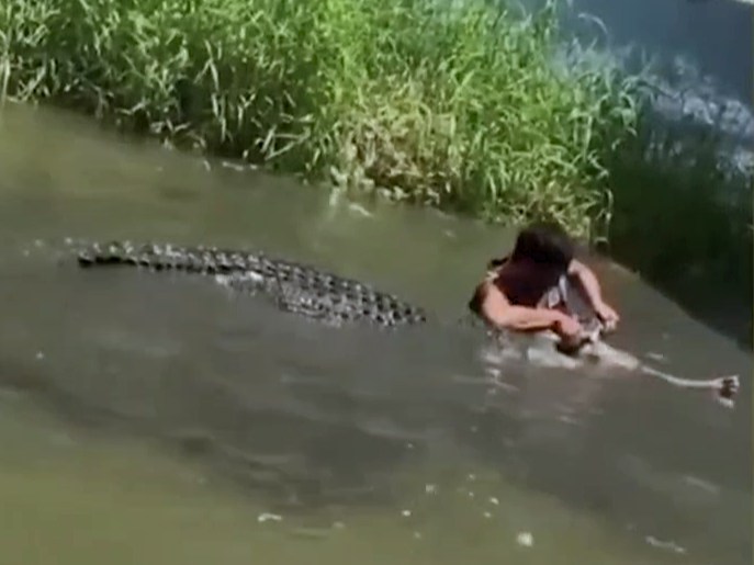 Taking Selfie with a Crocodile Is Crippling