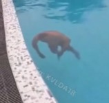 Creep Just Keeps Filming 'Buddy' Drowning in Pool