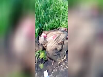 Road of Death. Dead Russian bodies are everywhere.