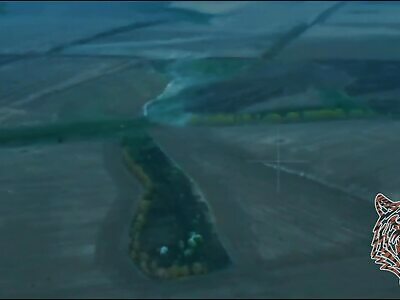 AFU column of NATO armored vehicles into a counterattack