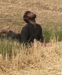 Indian man was killed by shock