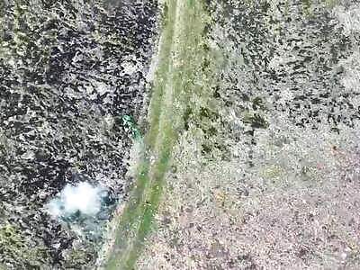 Muscovite loses his limb 