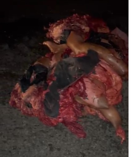 the gore mess on the road in brazil