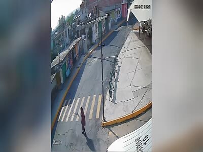 Elderly woman struck & killed by public transportation bus