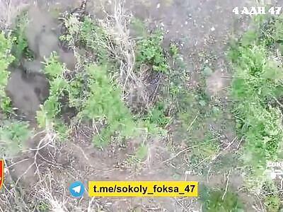 Dead Russians comp (May 10, 2025)