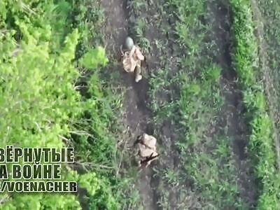 A captured hohol tried to be stupid