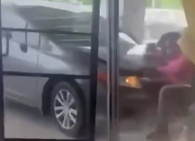 DAMN: Car Rams Lady into Dollar Tree Store