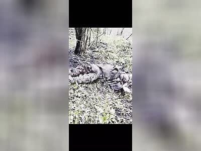 The Brotherhood Battalion eliminates Russians.