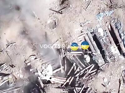 Smoking Out Crests From Bungalow