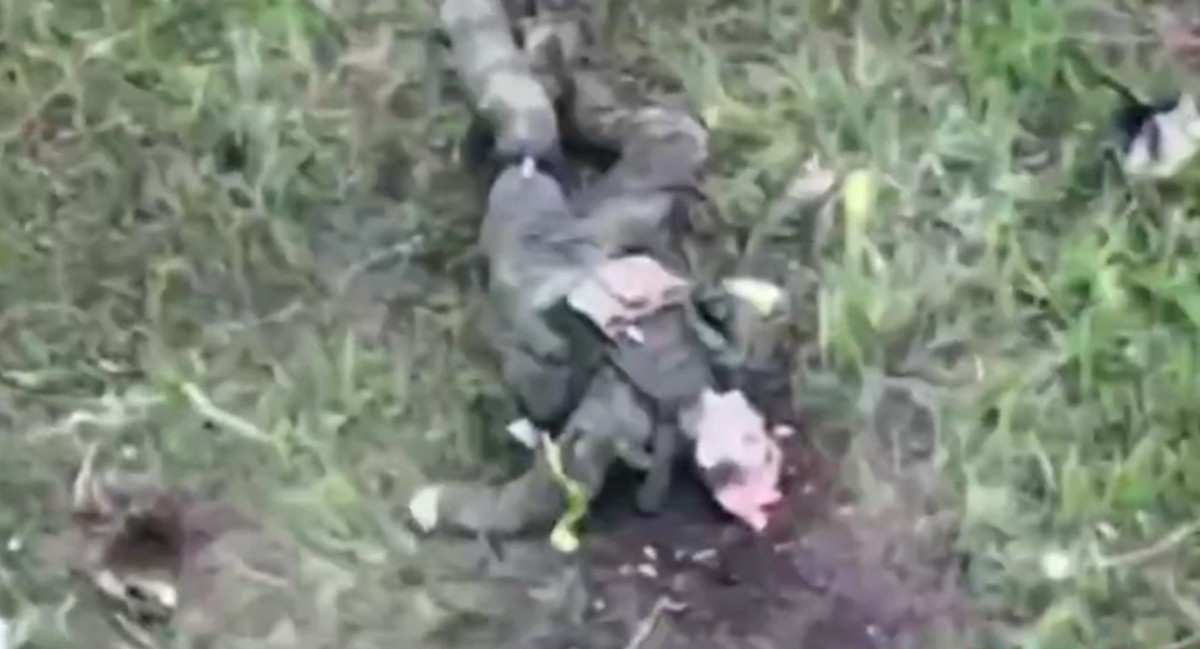 Headaches for a Ukrainian.