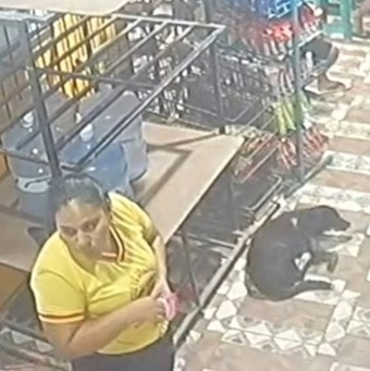 Hitman Strikes His Target at a Fried Chicken Restaurant.