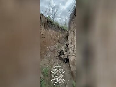 The result of the clearing AFU trench