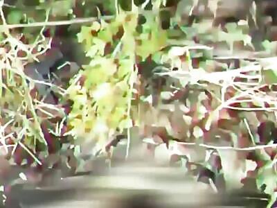 Russians cosplay Operation Overlord.