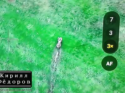 Mad Max is going to break through