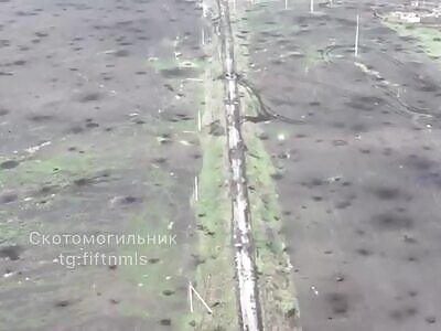 When we were rushing to the LGBT parade, but ended up being roasted