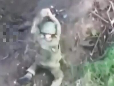 And... the Darwin Award goes to... this Russopithecus.