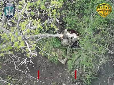 Who you gonna call? WORMBUSTERS!