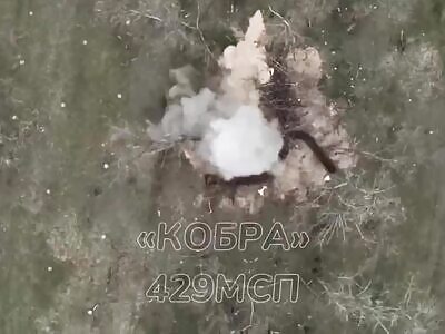 Capture of a runner in the Zaporizhzhya direction