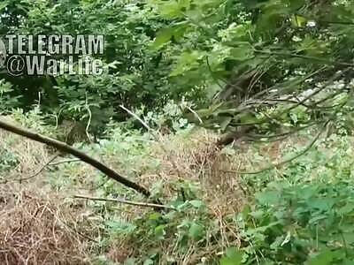 Ukrainian scouts kill Russian soldier with small arms fire.