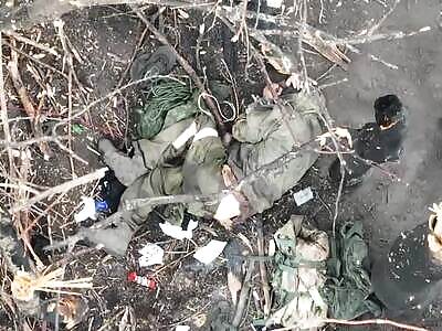 The old Russian bastard is dying in agony.