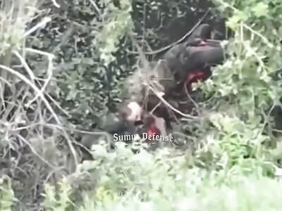 The cleansing of Sumy from russhits continues.