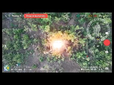 Another victim of the Nazi regime burned to death at work.