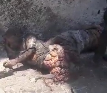 [Just happened]Israeli air strike kills and injures several Palestinians in Deir el-Balah