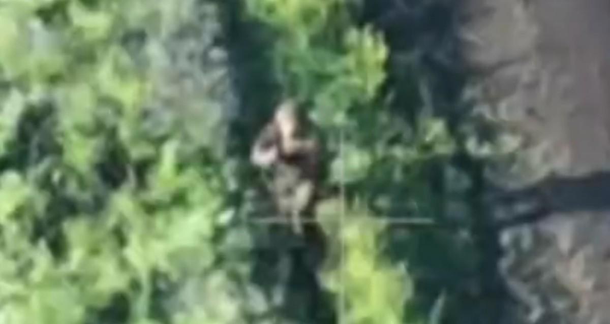 Saying sorry doesn't save you from Russian drones. 