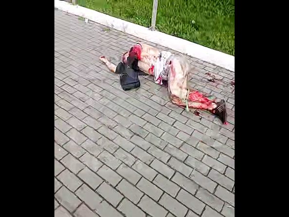 Bloody Prices! Nowadays Train Surfing Costs an Arm & a Leg