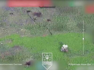 Dead Russians comp (June 27, 2025)