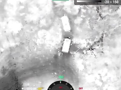 Modesty? No, that's not about us...