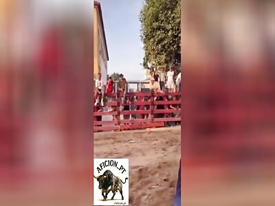 Fucked by angry bull 1