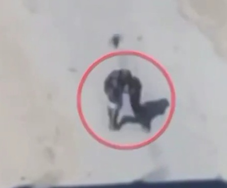 Israeli drone targeted two Palestinian Carrying their Tent