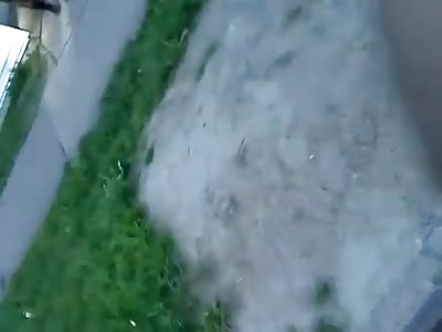 the mammays be brawling in brown town