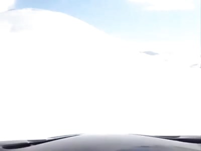 tease a bear and you get this