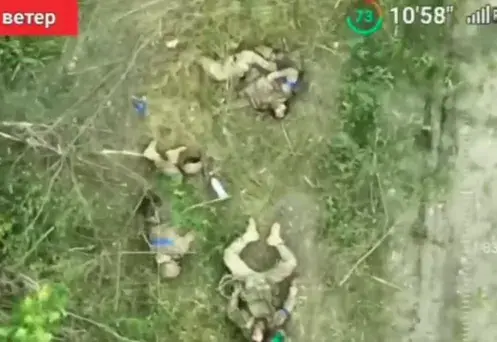 Mykola resting after hard work Ft. speed tickets & strikeZ